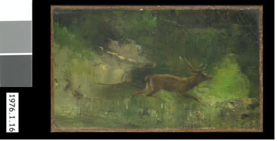 Cerf Courant Sous Bois Gustave Courbet Vers 1865 Huile sur toile Ornans, musée Gustave Courbet © Musée Gustave Courbet, photo : Pierre Guenat