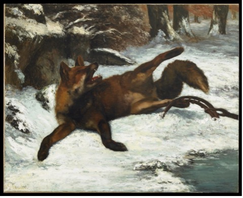 Le Renard Pris Au Piège Gustave Courbet Vers 1860 Huile sur toile Ornans, musée Gustave Courbet © Musée Gustave Courbet, photo : Pierre Guenat